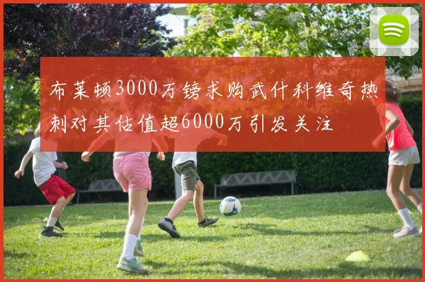 布莱顿3000万镑求购武什科维奇热刺对其估值超6000万引发关注