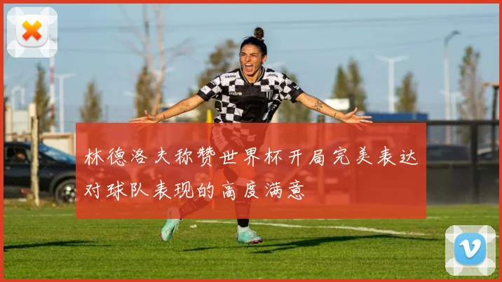 林德洛夫称赞世界杯开局完美表达对球队表现的高度满意